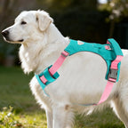 Chaleco de arnés para perro Airtag sin tirones con asa y bolsillo para