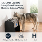 PETTEN Fuente de agua elevada del perro del acero inoxidable interior 12L