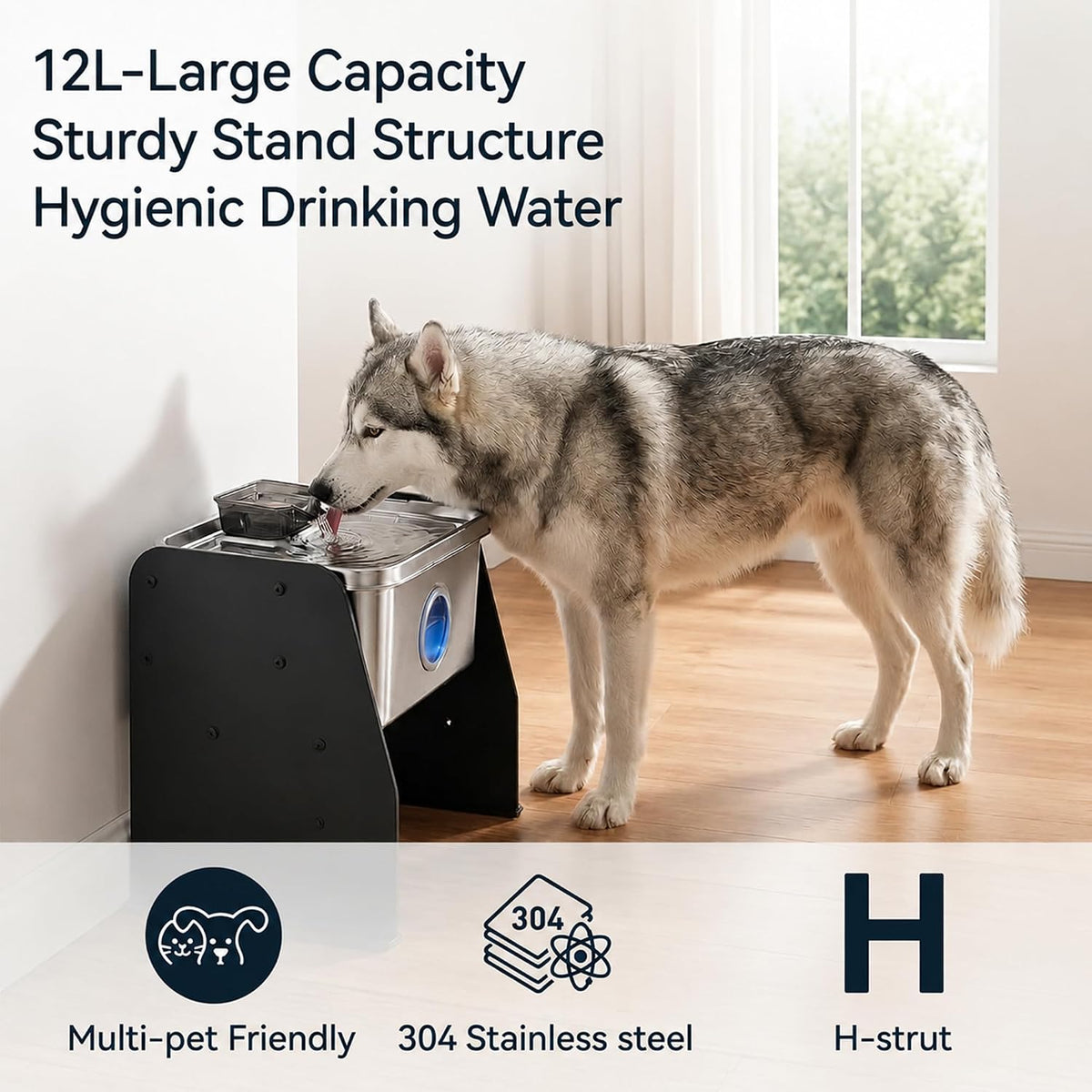 PETTEN Fuente de agua elevada del perro del acero inoxidable interior 12L