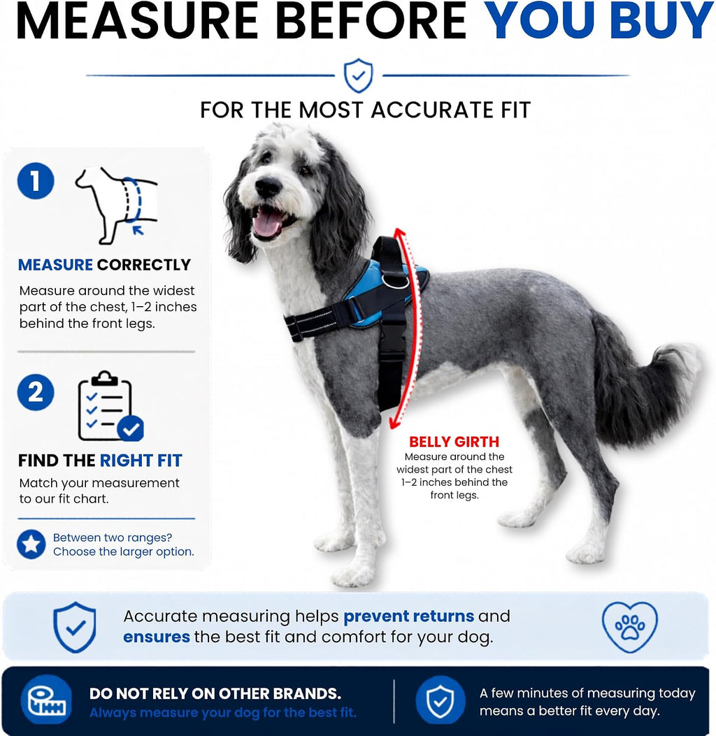 ShawnCo Essential Pro Arnés para Perros, Chaleco Anti-Tirones para Mascotas con 3 Clips para Correa y Parches Laterales Reflectantes Removibles, Arnés Ajustable y Acolchado para Perros Pequeños