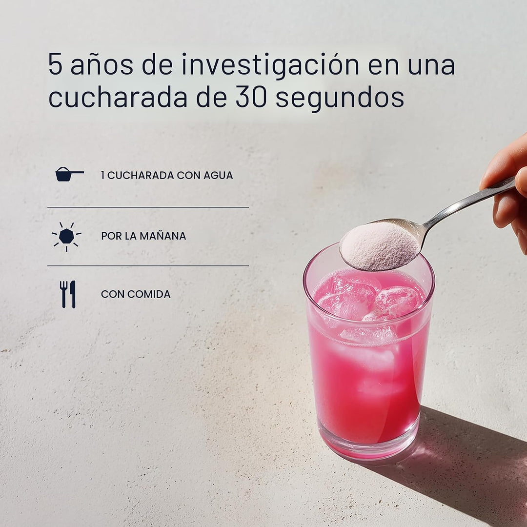 Blueprint Bryan Johnson Mezcla para la Longevidad - Suplemento para...