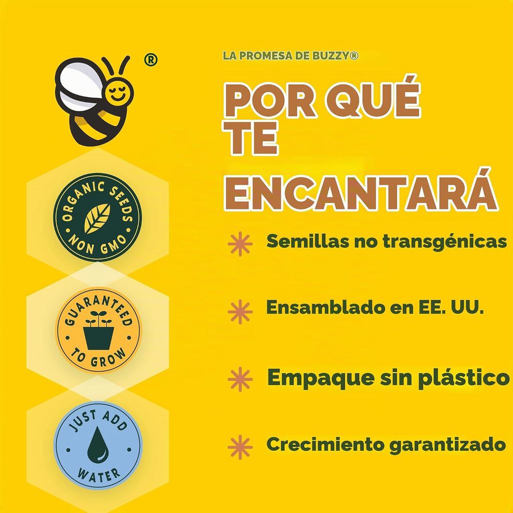 BUZZY Seeds Kit de cultivo Forget-Me-Not - Paquete de 12, macetas de
