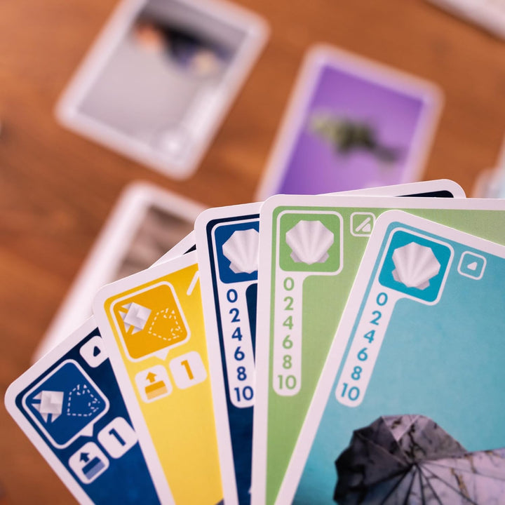 Pandasaurus Games Juego de Cartas Sea Salt and Paper -