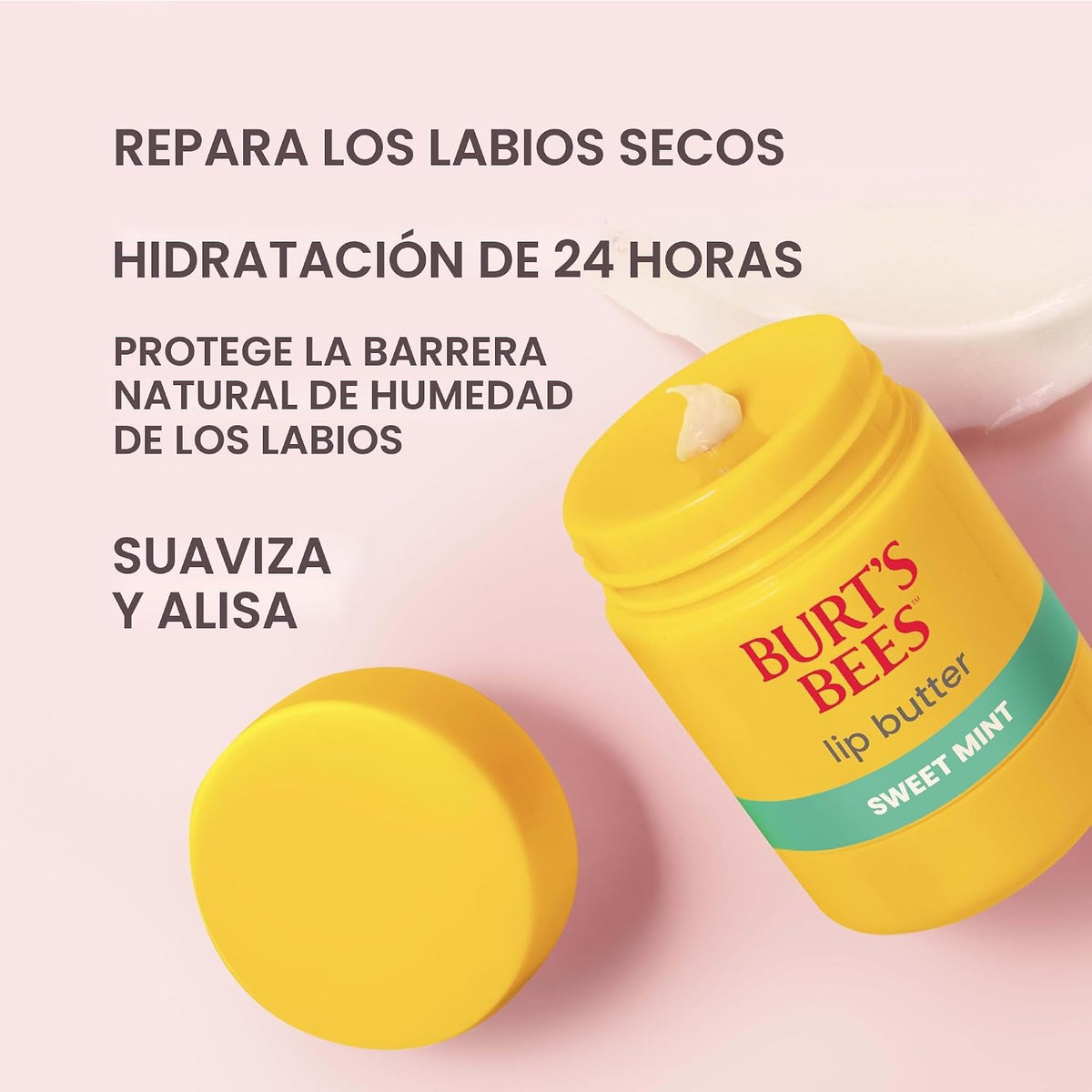 Burt's Bees Mantequilla labial de menta dulce, repara los labio...