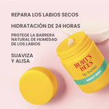 Burt's Bees Mantequilla labial de menta dulce, repara los labio...