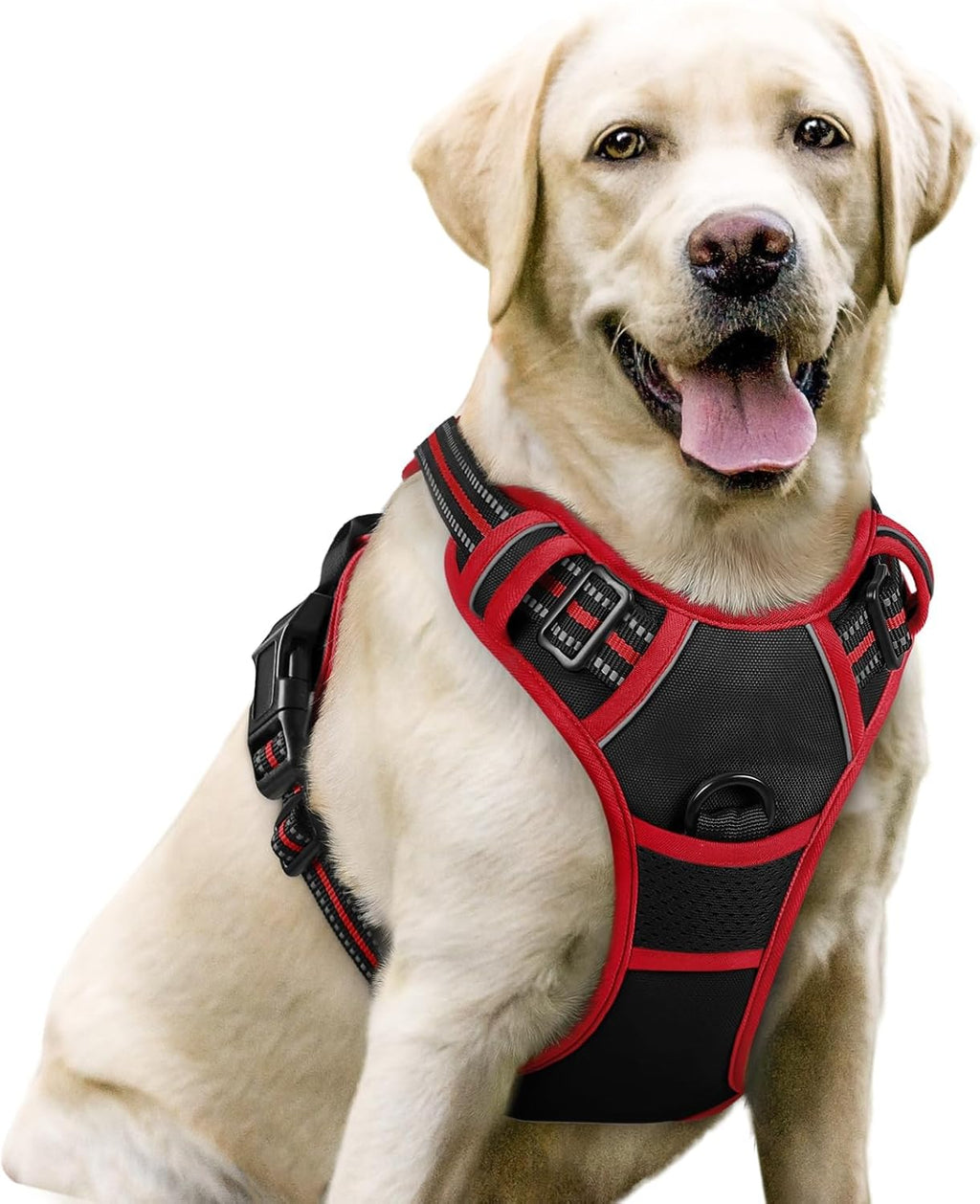 rabbitgoo Arnés para perro, sin tirones para perros grandes con 2 clips
