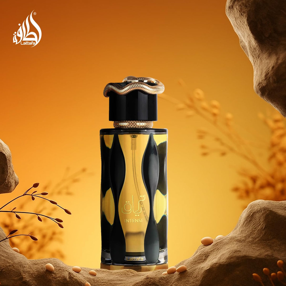 Lattafa Teriaq Intense para Unisex Eau de Parfum en Spray