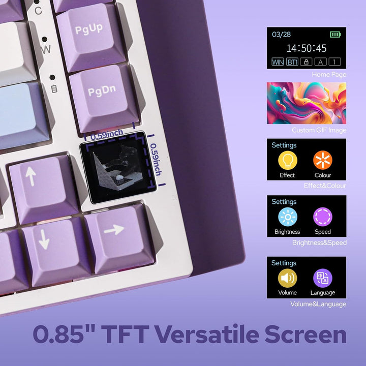 EPOMAKER Ajazz AK820 Pro Teclado mecánico inalámbrico 75% con panta...