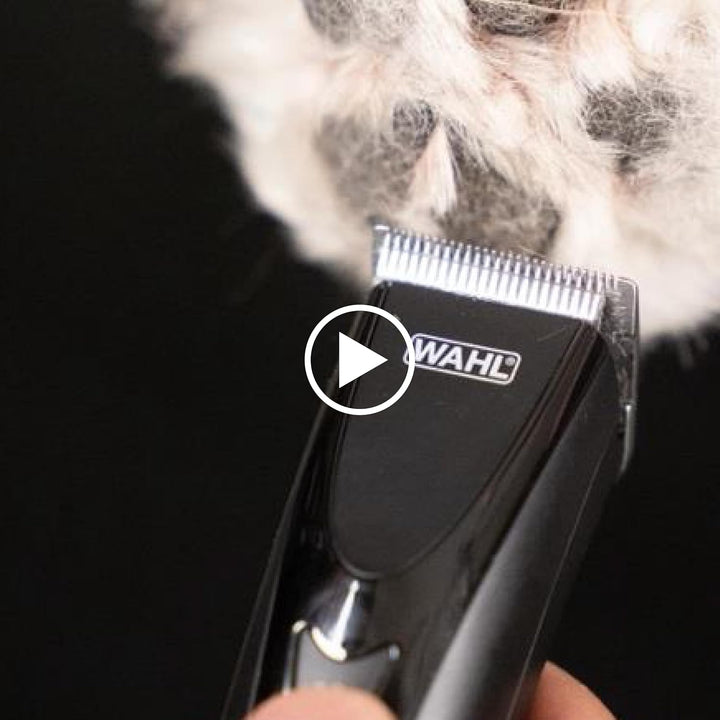 Wahl Pro Animal - Juego de peine guía de acero inoxidable para cort...
