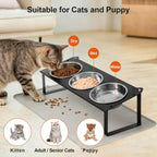Cuencos Elevados para Gatos con Tapete para Comida, Juego de Cuencos Elevados Antideslizantes Inclinados 10° para Comida y Agua de Gatos, 3 Platos Gruesos de Acero Inoxidable para Mascotas con Lindo