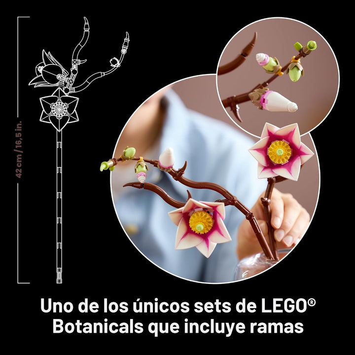 LEGO Botanicals Magnolia Branches - Juego de construcción para adul...