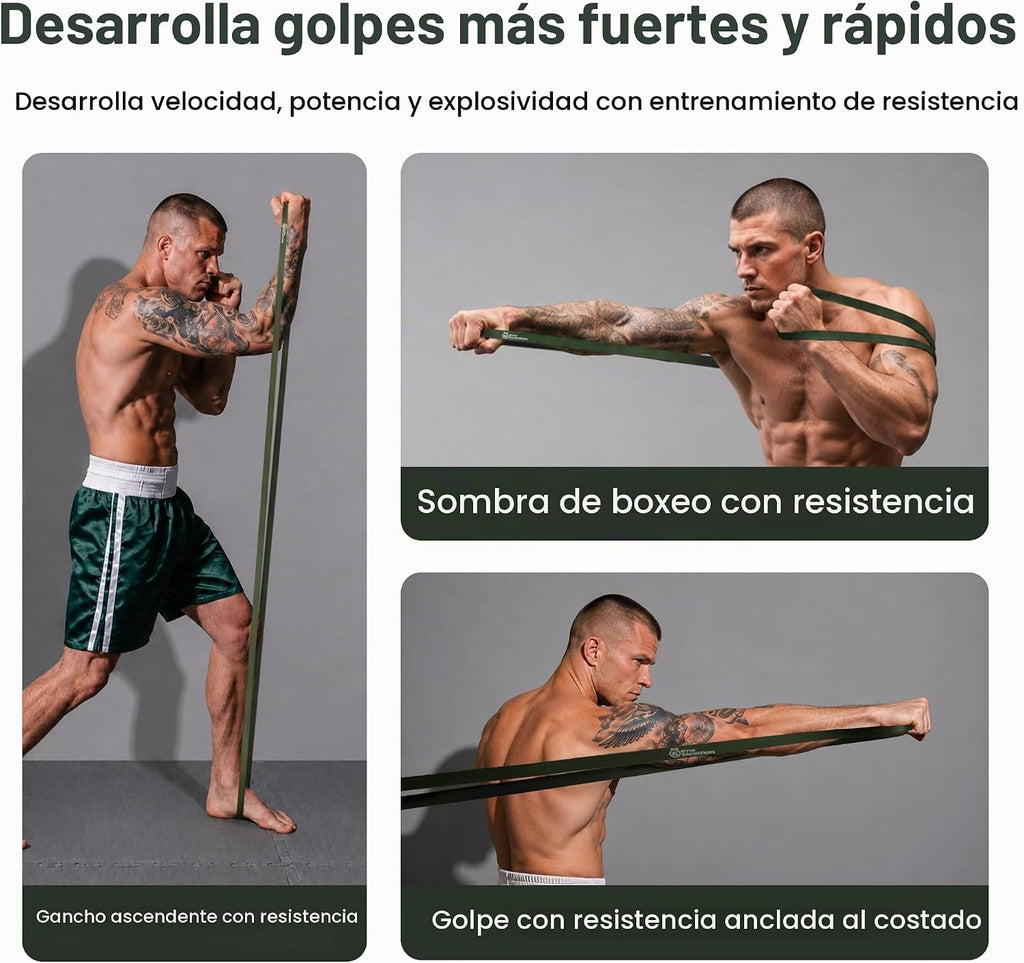 Juego de bandas de resistencia de salvación para gimnasio, 5 bandas de asistencia y entrenamiento de fuerza, bucles duraderos de levantamiento de potencia y entrenamiento con bolsa de transporte