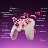 linhugame Wireless Controller For Switch,Compatible with switch 2\/...