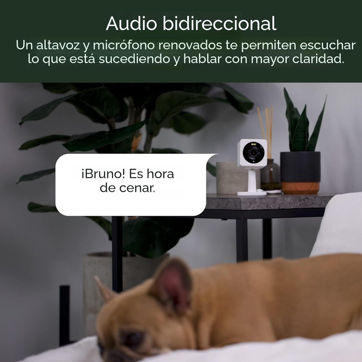 WYZE Cam OG interior\/exterior 1080p Wi-Fi cámara inteligente de se...