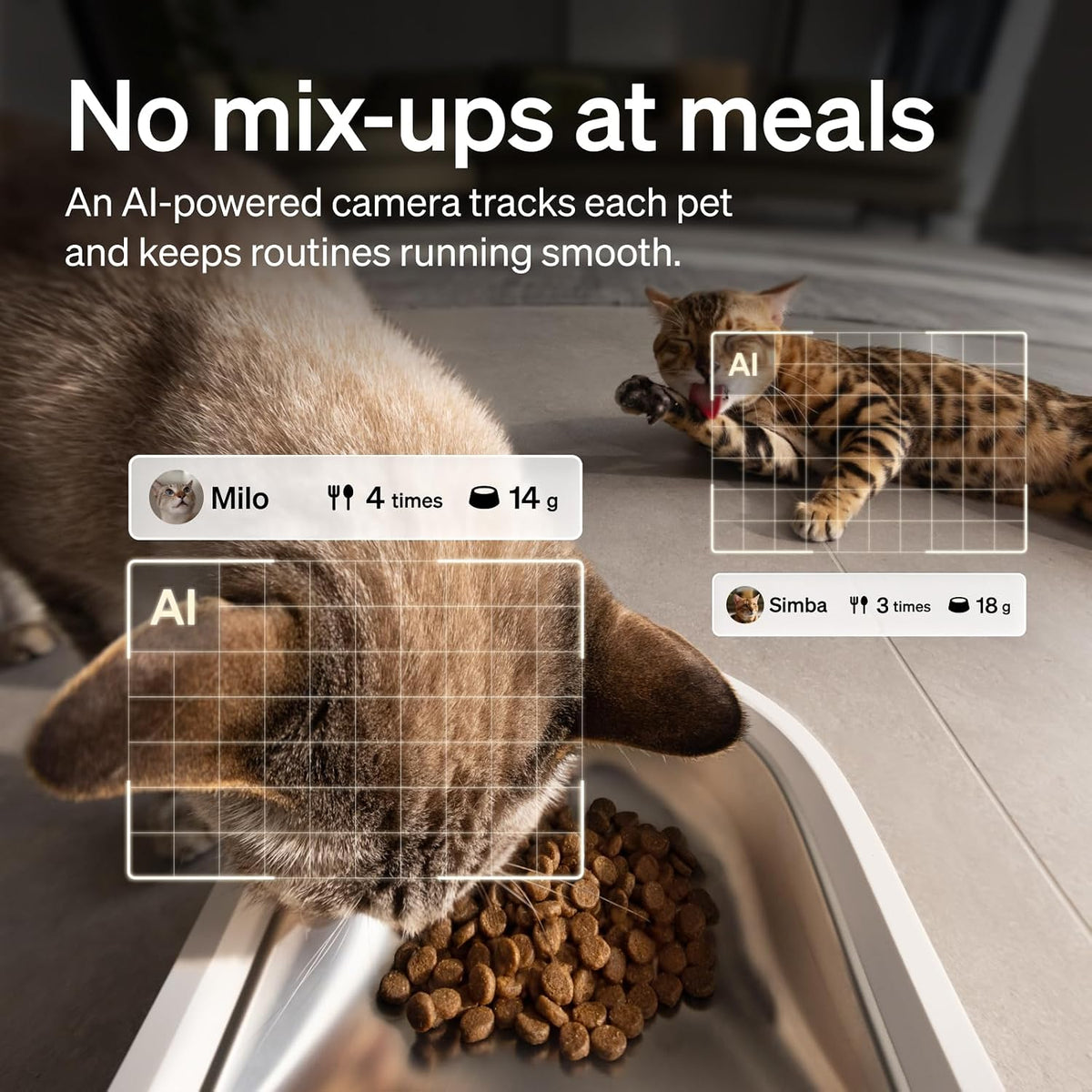 PETLIBRO Automatic Cat Feeder con Cámara, Escala AI para Seguimiento Inteligente de la Ingesta de Comida