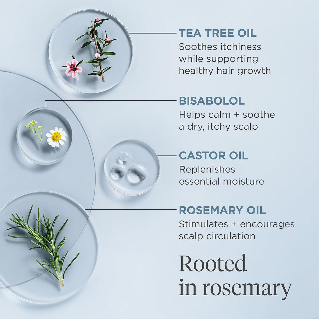 Briogeo Scalp Revival Rosemary Pre-Wash Oil | Moisturizing Scalp Tr...