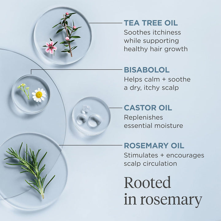 Briogeo Scalp Revival Rosemary Pre-Wash Oil | Moisturizing Scalp Tr...