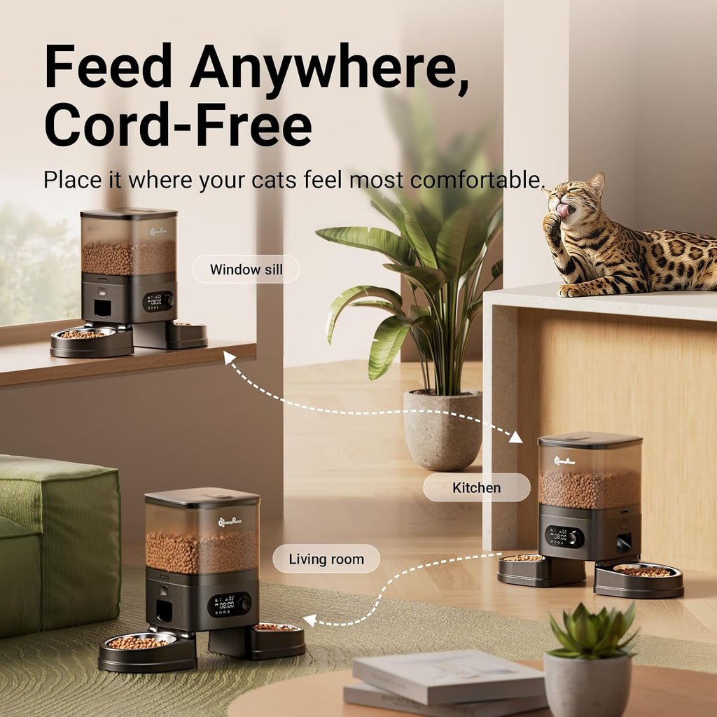 DownyPaws Alimentador automático para gatos 2 gatos, dispensador