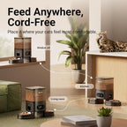 DownyPaws Alimentador automático para gatos 2 gatos, dispensador