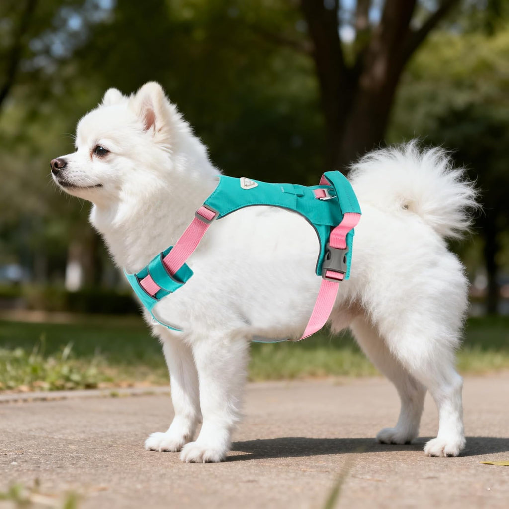 Chaleco de arnés para perro Airtag sin tirones con asa y bolsillo para
