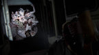 The Last of Us Part II Remastered - PlayStation 5