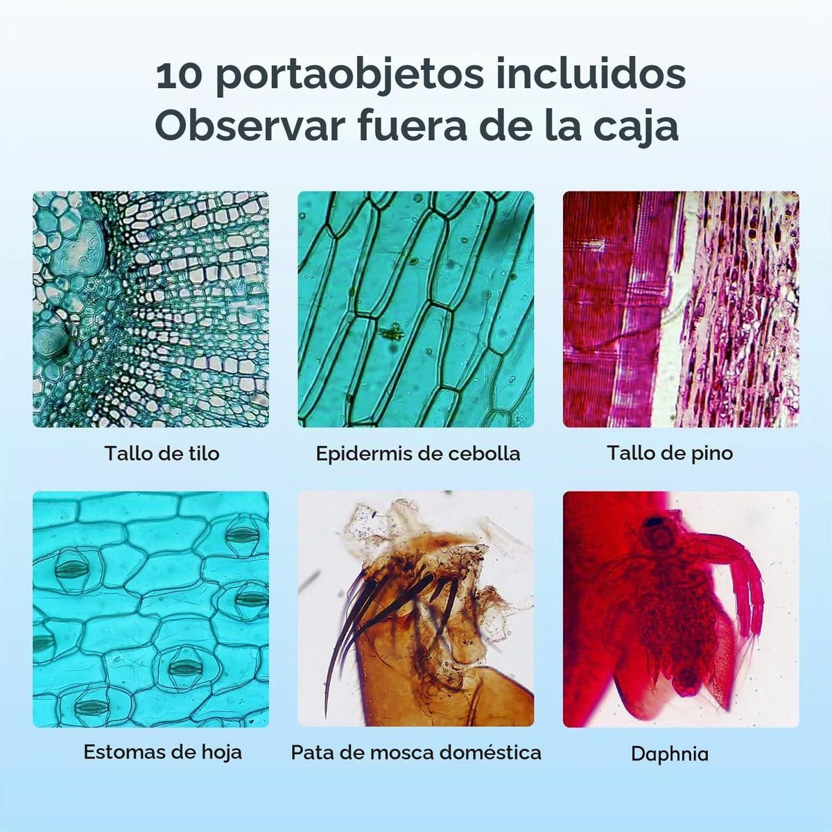 Microscopio digital MT3-4 1200X USB, pantalla de 7" para niños