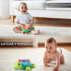 iPlay, iLearn Juguete Musical de Tortuga para gatear para bebé, Bilingüe en español e inglés