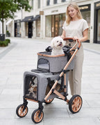 Cochecito doble para mascotas con 2 transportadores desmontables