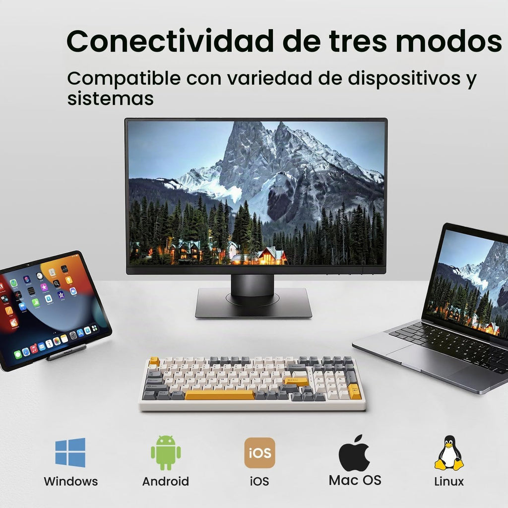 Kisnt Teclado mecánico inalámbrico KN98, diseño compacto de 99 teclas con teclado numérico, Bluetooth/2.4G/USB‑C, intercambiable en caliente, retroiluminación RGB personalizada, batería de 8000 mAh