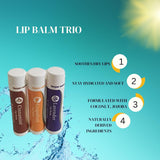 Young Living Trío de bálsamo labial (lavanda, pomelo, canela) de Yo...