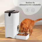 Alimentador automático inteligente para gatos, dispensador automático confiable de alimentos para gatos de 6 litros con pantalla LCD para una fácil instalación, (blanco)