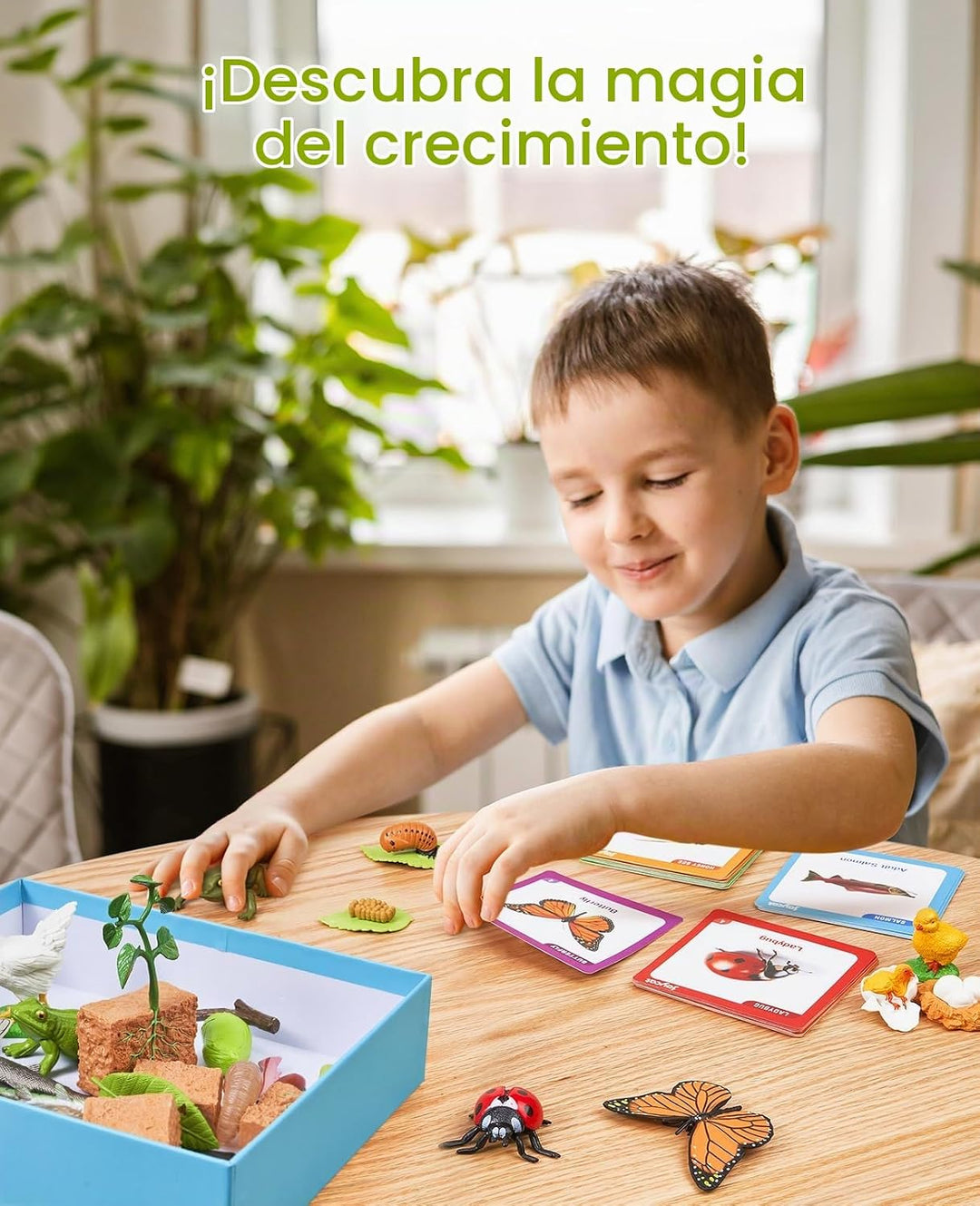 JoyCat - Juguetes de ciclo de vida para niños, 7 juegos de animales...