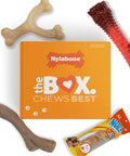 Nylabone - Caja de regalo para perros, juguetes masticables fuertes y