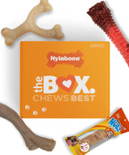 Nylabone - Caja de regalo para perros, juguetes masticables fuertes y