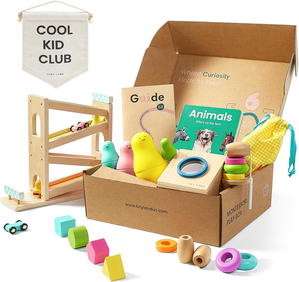 Tiny Land Montessori - Juego de juguetes para bebés de 16 a 18 meses, kit