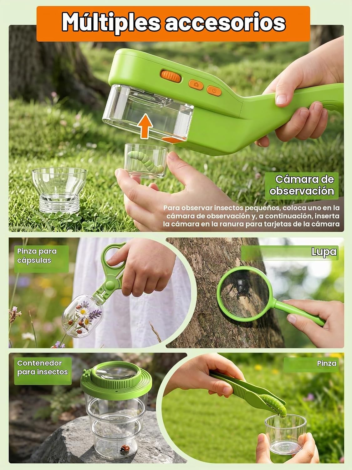 Cazador de insectos para niños con microscopio, kit para capturar insectos - Color verde esmeralda