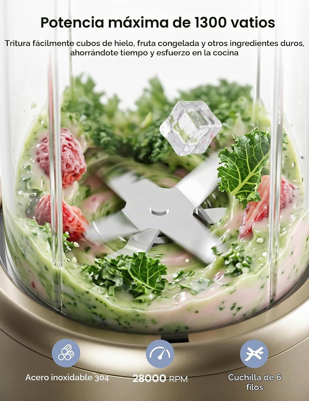 Ganiza Smoothie Blender Max 1300W, Mezclador y molinillo de cocina personal