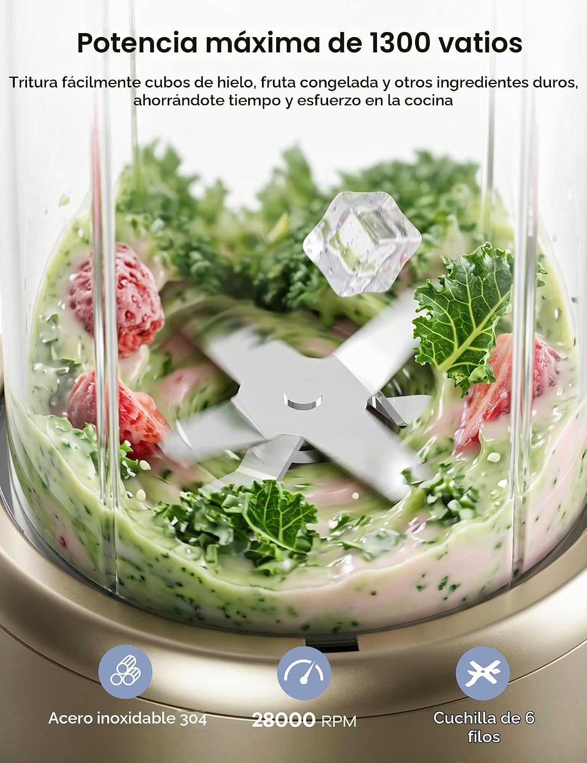 Ganiza Smoothie Blender Max 1300W, Mezclador y molinillo de cocina personal