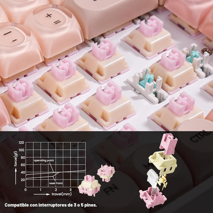 ZORNHER ZH100 Teclado Mecánico Foundation, Teclado Cremoso Rosa 98%...