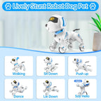 Dwi Dowellin Perro Robot para Niños de 8-12, Perros Robóticos Inteligentes con Control Remoto Mascota Cachorro Juguete Robótico, Juguetes Interactivos de Tocar Caminar y Hablar para Niños y Niñas