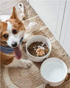LE TAUCI Cuencos de cerámica para perros con soporte de madera de acacia, juego de alimentos y agua de 7 pulgadas para perros medianos, cuencos con peso para mascotas