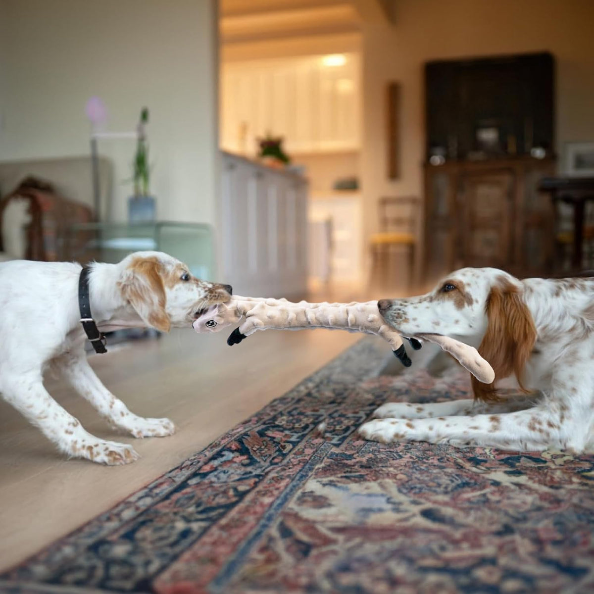 Paquete de 5 juguetes chirriantes para perros, juguetes de peluche de burbujas para dentición para cachorros, juguetes para perros, animales arrugados sin relleno, juguetes para perros