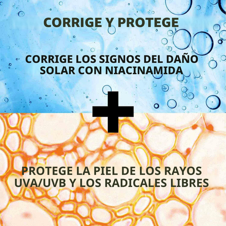 La Roche-Posay Anthelios UV Correct Sunscreen Moisturizer SPF 70, D...