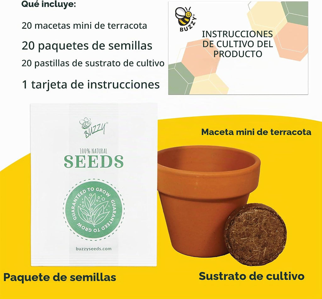 Buzzy Kit de cultivo de árbol de abeto, paquete de 20 macetas de terracota