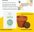 Buzzy Kit de cultivo de árbol de abeto, paquete de 20 macetas de terracota