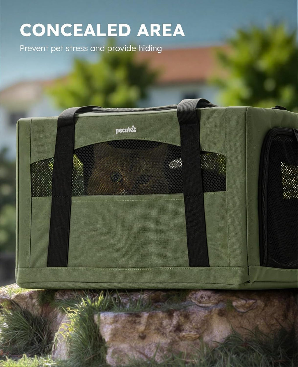 Pecute Transportador para gatos estable, transportador de mascotas con