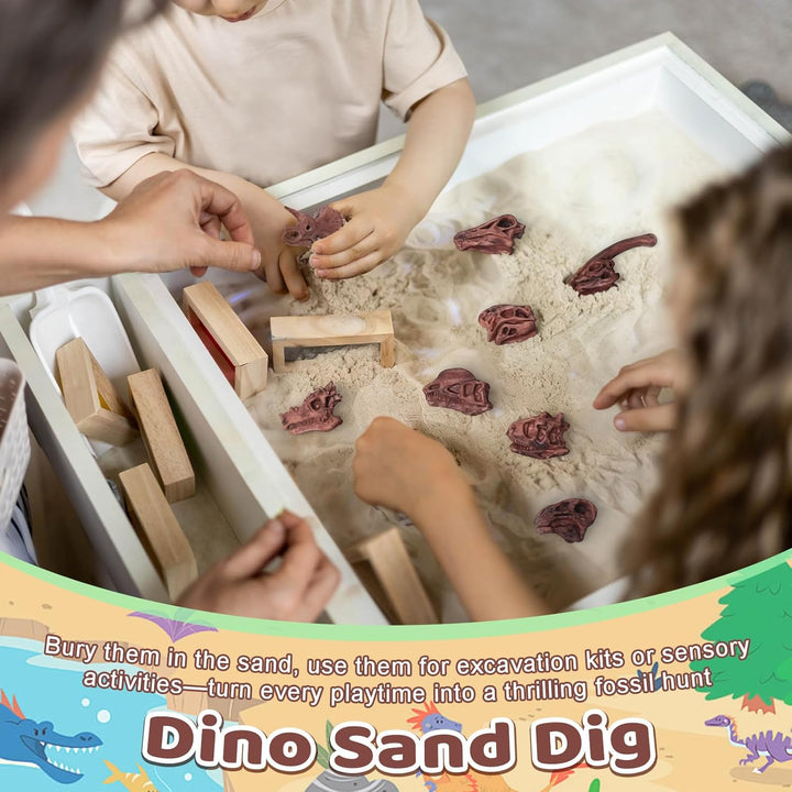 Zealor Hueso de dinosaurio de 24 piezas para caja de arena