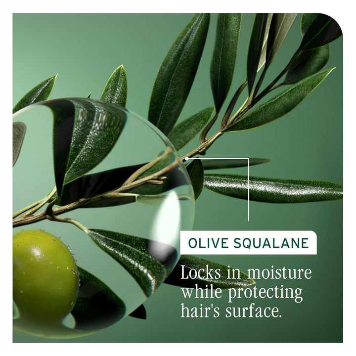 Biolage Strength Recovery Shampoo - Reduces Breakage &amp; Detangle...