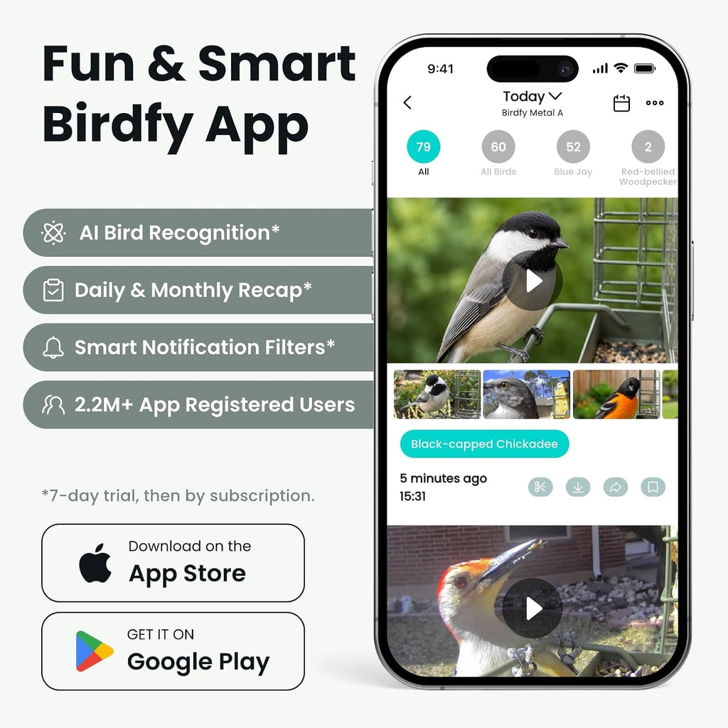 Comedero inteligente para aves Birdfy con cámara, comedero colgante solar