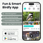 Comedero inteligente para aves Birdfy con cámara, comedero colgante solar